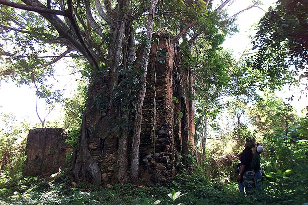 Birding in Darien, where there are plenty of panama bird species